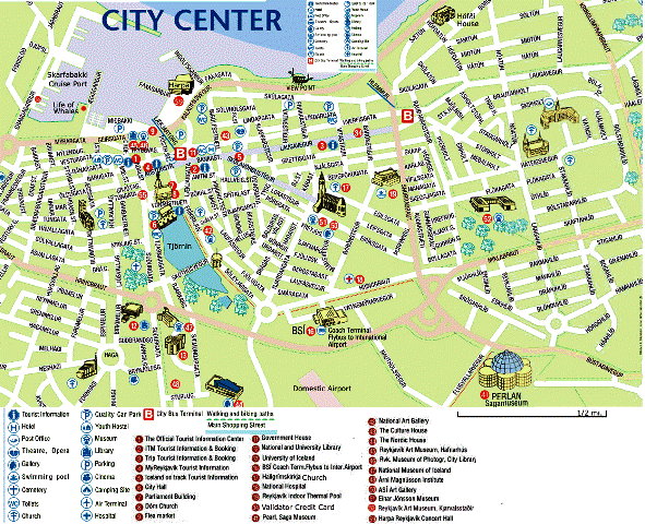 Reykjavik harita